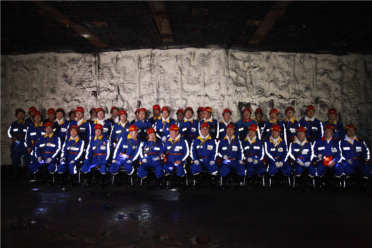 創(chuàng)新聯(lián)盟專家團(tuán)隊(duì)在陜煤（右起左四為何滿潮院士、宋振騏院士、張鐵崗院士、煤炭工業(yè)協(xié)會(huì)副理事長(zhǎng)劉峰